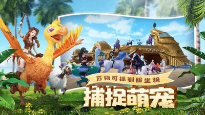 创造与魔法