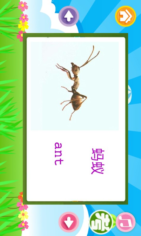 儿童英语早教