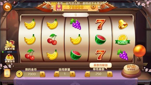 555棋牌