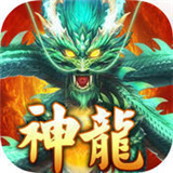 神龙宝藏电玩
