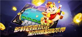 金花抢庄