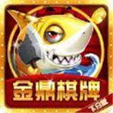 金鼎国际