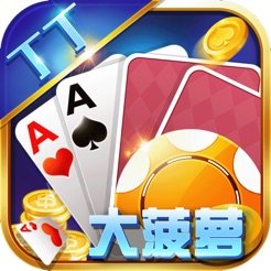 丁丁大菠萝