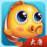 海鱼棋牌