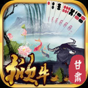 甘肃掀牛棋牌