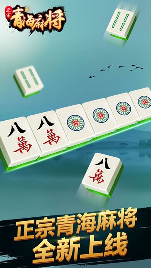 圣盛青海麻将