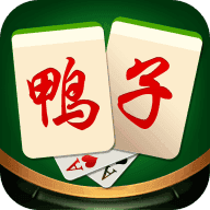 极品鸭子游戏