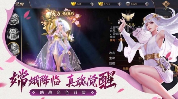 幻叶流年gm版