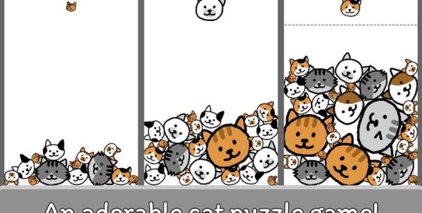 猫咪真可爱