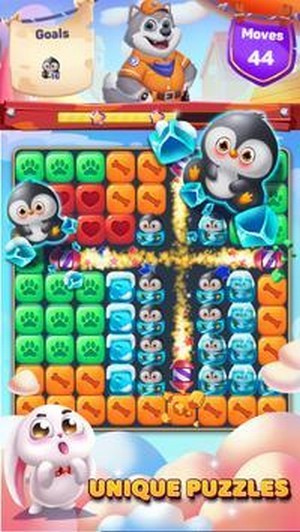 宠物救援队