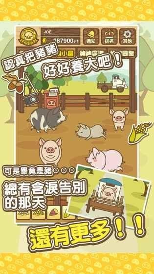 养猪场3D