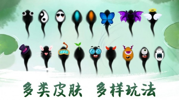 墨虾探蝌前传