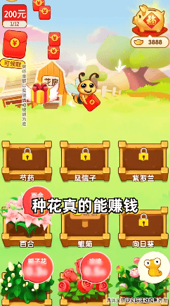 富贵花园