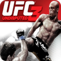 UFC终极格斗冠军