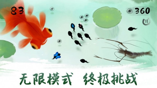 墨虾探蝌前传