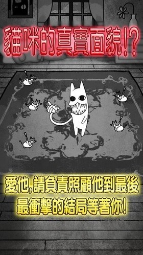 世界奇妙问答