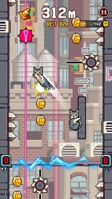 猫咪跳跃
