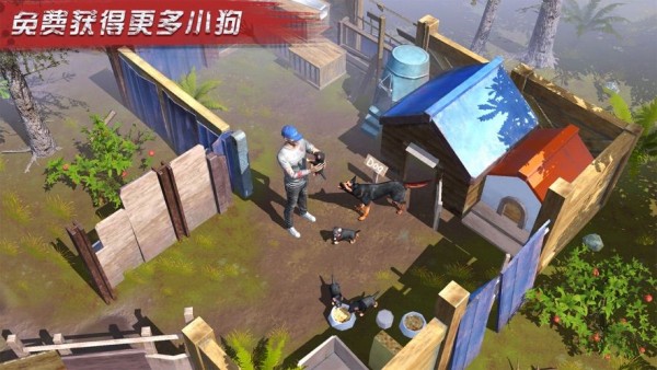 极限大闯关