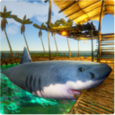 木筏求生海洋模拟