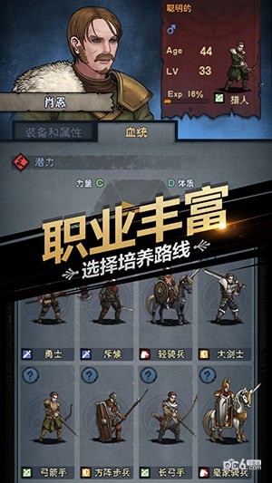 百年骑士团国际服