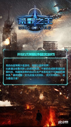 荒野之王