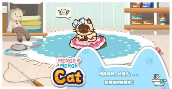 猫咪合十