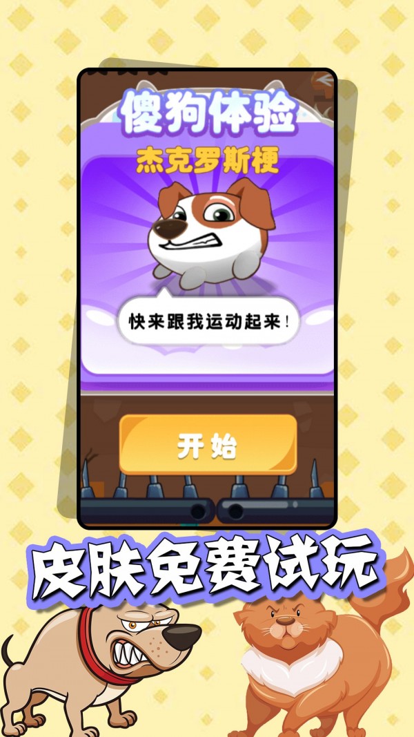 猫狗大战