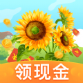赚钱小农场