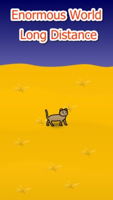 流浪猫咪