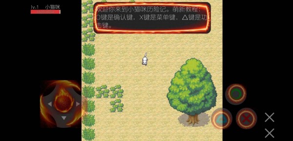 小猫咪快过来