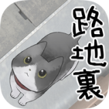 迷路的企鹅