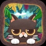 秘密猫咪森林