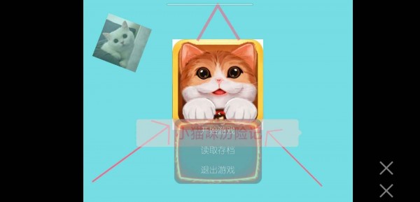 小猫咪快过来
