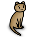 流浪猫咪