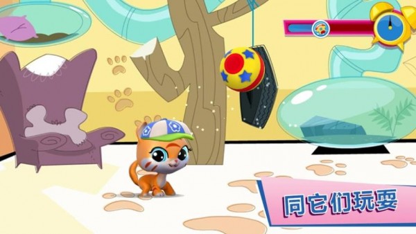 小小动物星球