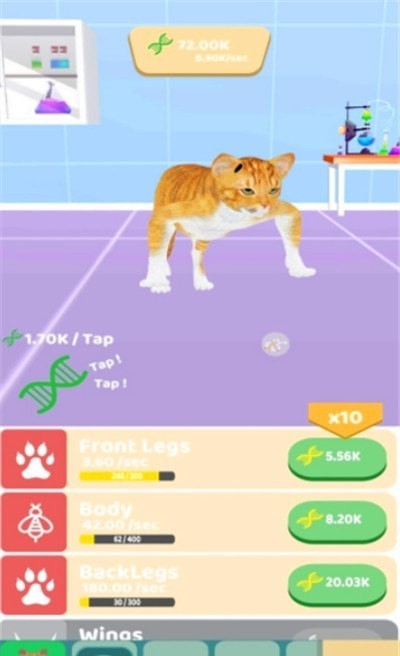 动物进化种族