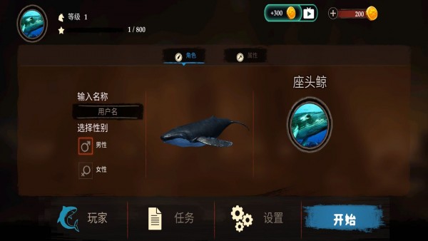 海洋动物传奇