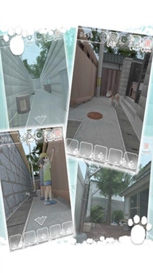 迷路的企鹅