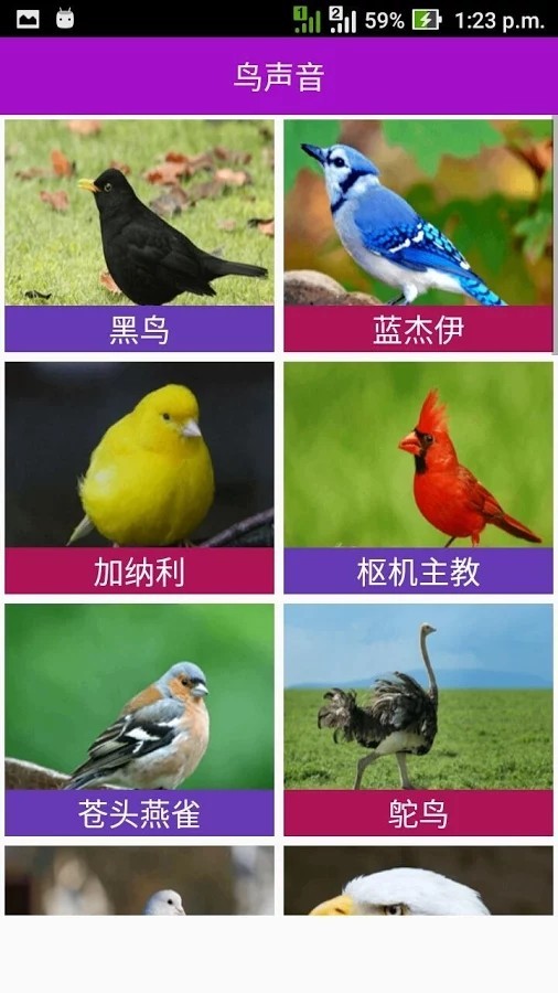 动物的逆袭