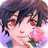 蔷薇梦想九游版