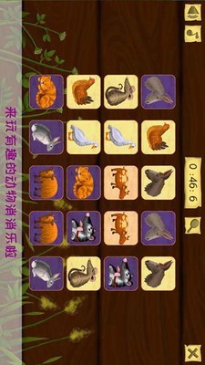 托卡小镇建筑