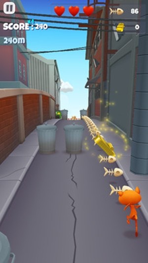 宠物猫跑酷