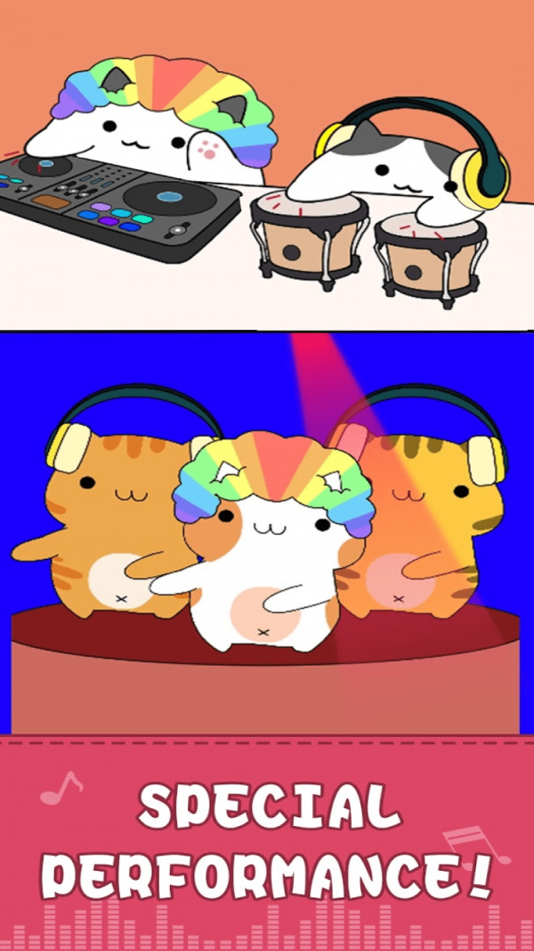 邦戈猫