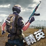 精英枪战对决