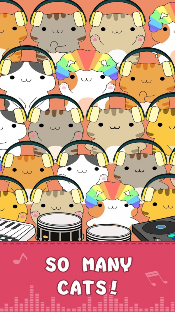 邦戈猫