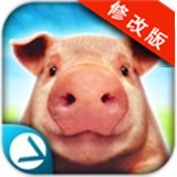 可爱小毛球的故事