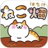猫咪田田