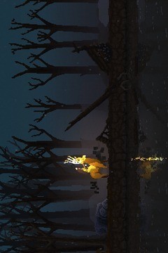 王国新大陆