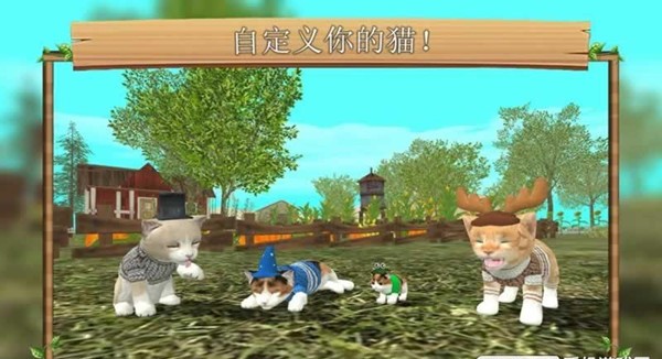 猫咪生存日记