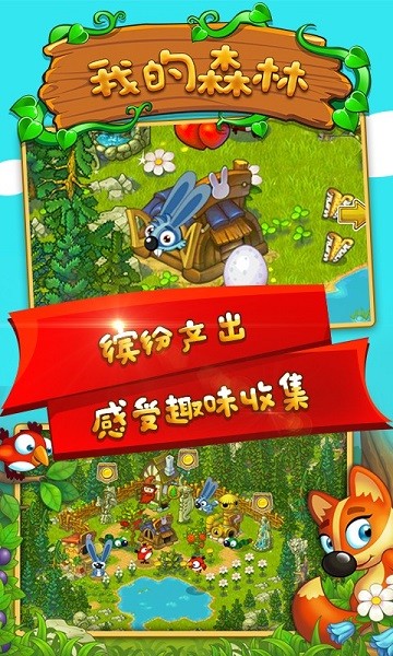 我的森林之家